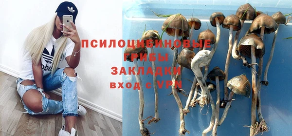 мяу мяу мука Осташков